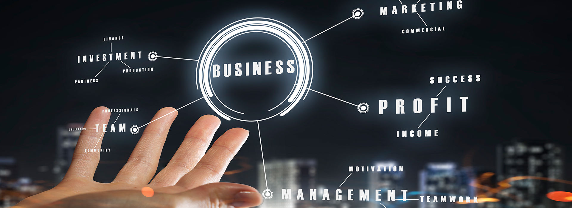 Deal Structuring & Growth Strategy Deal Structuring & Growth Strategy